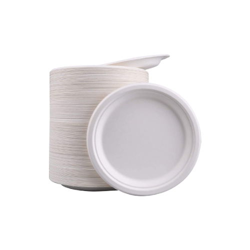 8oz Foam Plates – Disposable